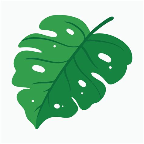 Monstera Leaf In Cartoon Illustration For Tropical Design Element