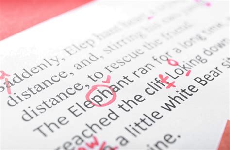 reasons  order  essay    professional