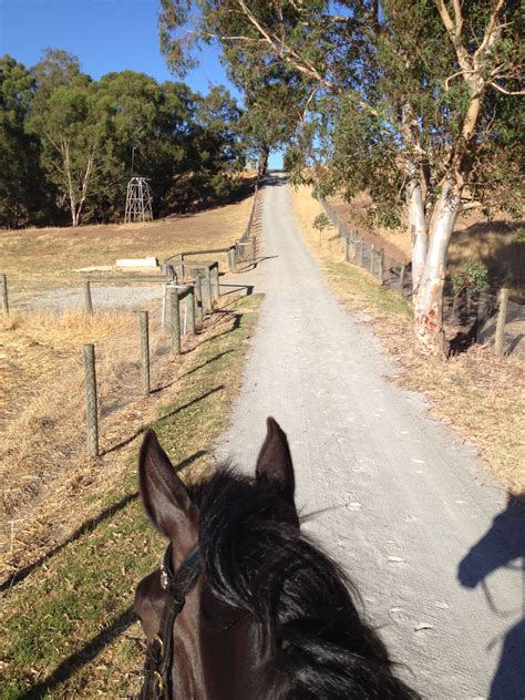 Ebony Equine Fitness - You know you are obsessed with Equine fitness