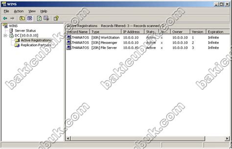 Wins Windows Internet Name Service Baki Çubuk