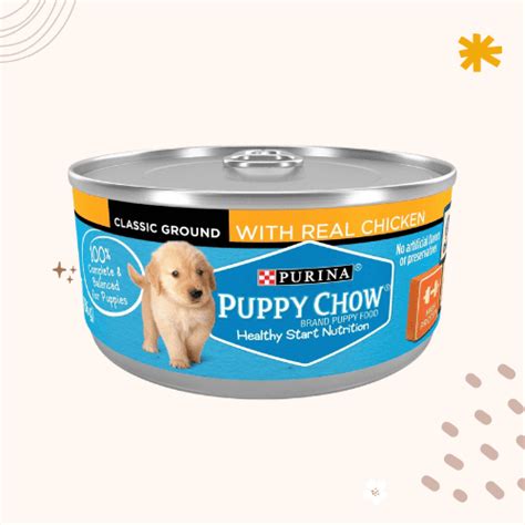 The 13 Best Wet Puppy Foods 2023 Update