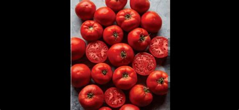 Burpee Big Boy Hybrid Tomato Seeds Review Is It Worth Buying