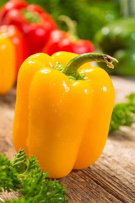 How To Grow Bell Peppers Plant Grow And Harvest Artofit