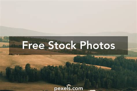 Abyssal Plains Photos, Download Free Abyssal Plains Stock Photos & HD ...