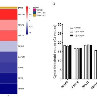 Rna Sequencing And Rt Qpcr Analysis Of Reference Gene Expression In