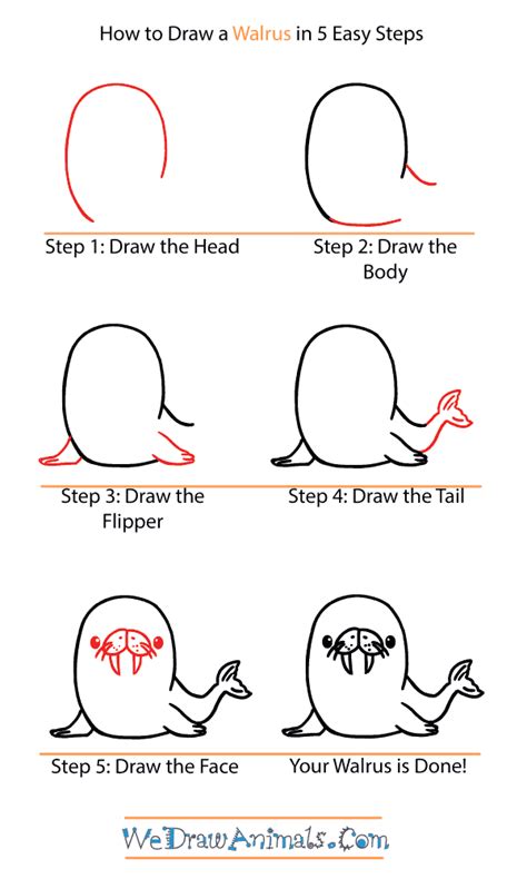 How to Draw a Cute Walrus