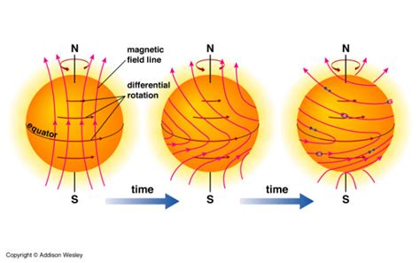 How and why does the sun's magnetic field flip? | Socratic