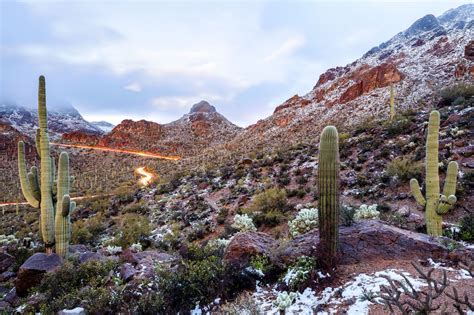 The Best US National Parks to Visit in Winter