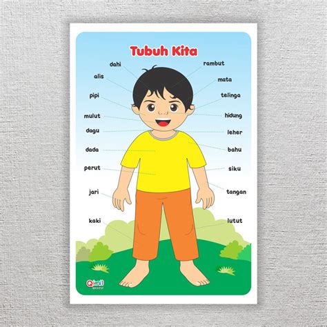 gambar badan anak