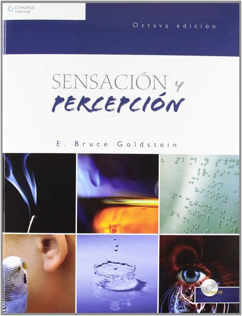 Sensacion Y Percepcion Goldstein Pdf 5