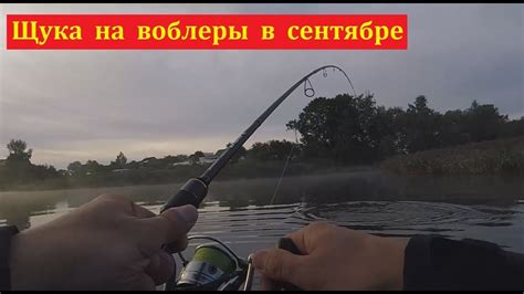 Щука на воблеры в сентябре - YouTube