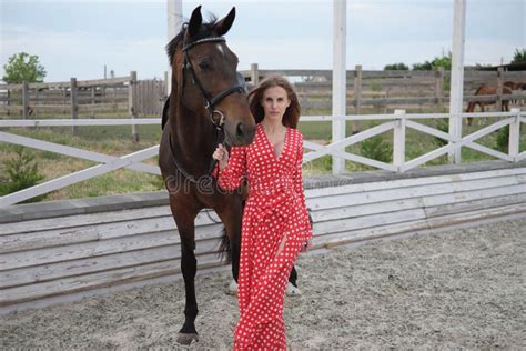 Belle Et Sexy Blonde Avec De Grands Seins Dans Une Robe Rouge Et Un Cheval Des Costumes Bruns