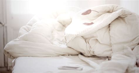 The Nonprofit Worker Navigating Sex During Election Week