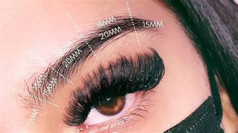 What Are Mega Volume Lash Extensions Maximize Your Lash Fluff Now