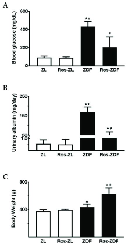 Effect Of Rosiglitazone On Blood Glucose Urinary Albumin And Body