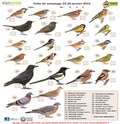 Oiseaux Jardin Alsace Recherche Google Oiseaux Des Jardins Oiseaux