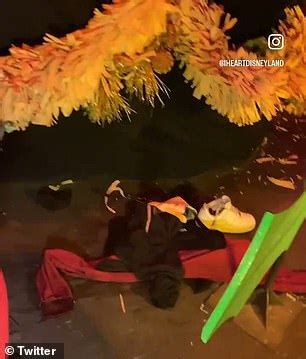 Shocking Moment Disneyland Guest Strips NAKED And Crawls Around It S A Small World Ride
