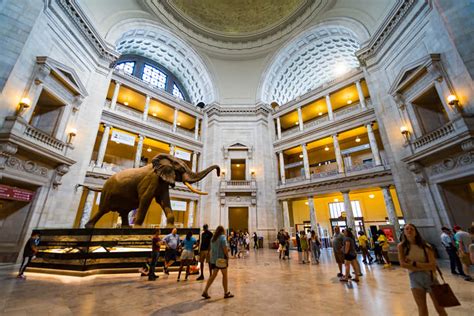 100 Fondos De Fotos De Museo Nacional De Historia Natural Del