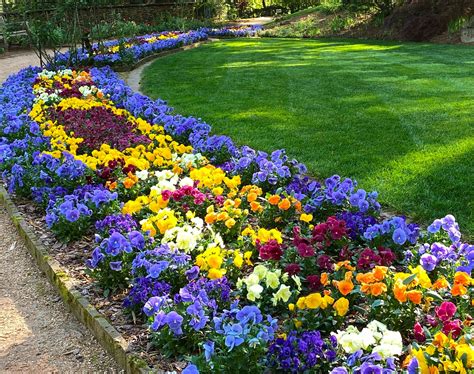 Visitor map and best times to see gibbs gardens this spring 23