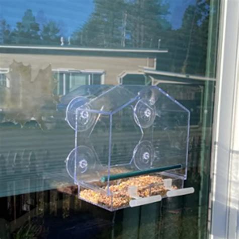 Clear Acrylic Window Bird Feeder With Strong Suction Cups