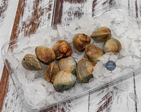 NZ Fresh Little Neck Clams – Scott Seafood