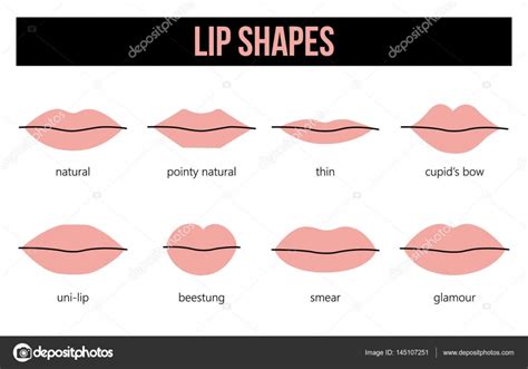 Types of lip shapes Stock Vector Image by ©Lazuin.gmail.com #145107251