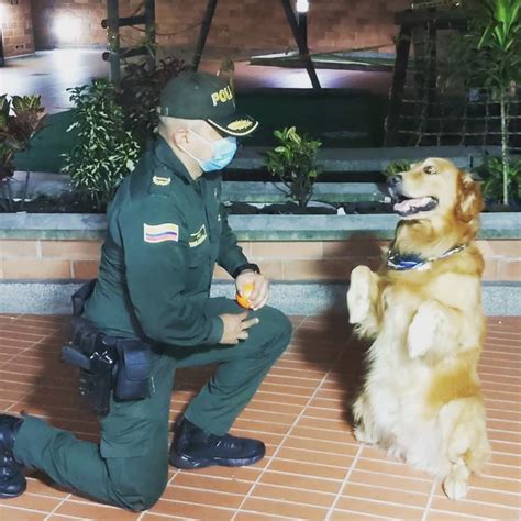 Brigadier General Samuel Darío Bernal Rojas on Twitter El amor más