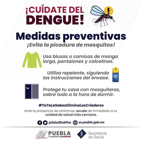 Surgen Ocho Nuevos Casos De Dengue En El Estado De Puebla Reto Diario