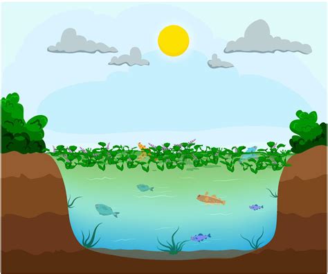 Eutrophication, Nutrient overload in water causing algal overgrowth