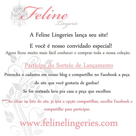 Sorteio Finalizado em Parceria Feline Lingerie Estilo Próprio By Sir