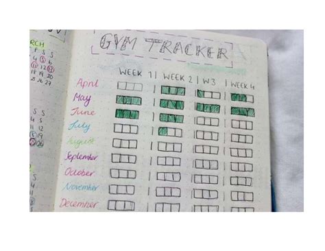 Fitness Journal Examples