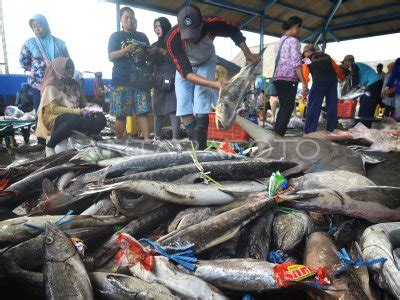 HARGA IKAN NAIK AKIBAT PASOKAN BERKURANG ANTARA Foto