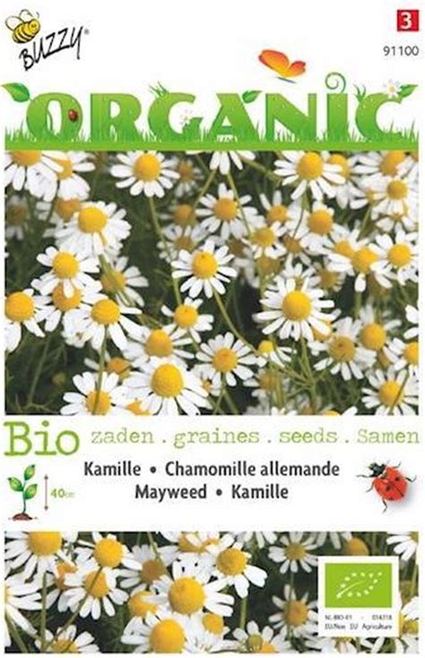 Buzzy Organic Kamille Bio Review Moestuinen Nl