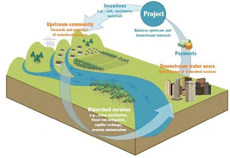 Protecting Global Water Catchments China Leads Investments Moffitts