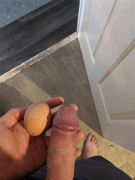 Cock Head Vs Egg Nudes Sizecomparison NUDE PICS ORG