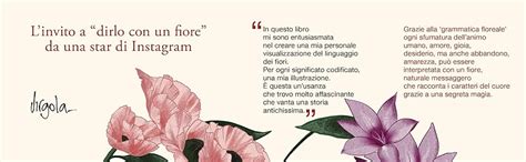 le parole piu belle sono fiori  sentimenti dellalfabeto floreale