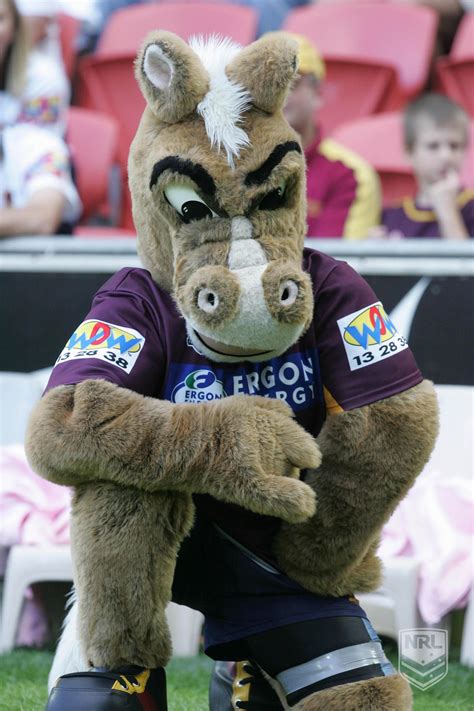 brisbane broncos mascot brisbane broncos nrl broncos