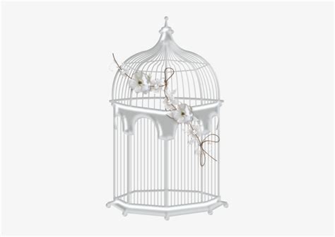 Bird Cages Bird Cage Transparent White PNG Image Transparent PNG