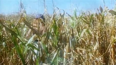 Pornogrusse Aus Der Lederhose Free Porn Video De XHamster