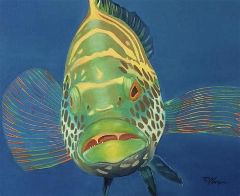 Rainbow Grouper Painting By Michelle Depaolis Wampner Fine Art America