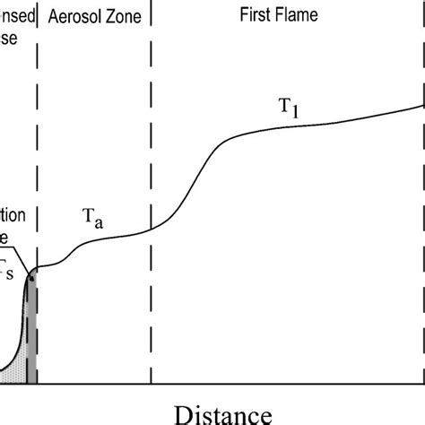 Adn Multistep Conversion In The Combustion Wave T S Is Surface