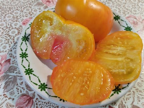 Томат Бабушкин поцелуй: ОТЗЫВЫ (13), фото, описание и характеристика ...