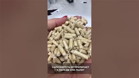 Pureco древесный наполнитель - YouTube