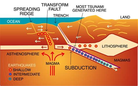 How to tell that a tsunami can or cannot affect your dwelling place ...