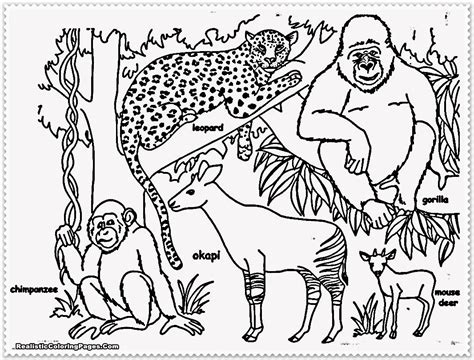 Tropical Rainforest Animals Coloring Pages at GetColorings.com | Free ...