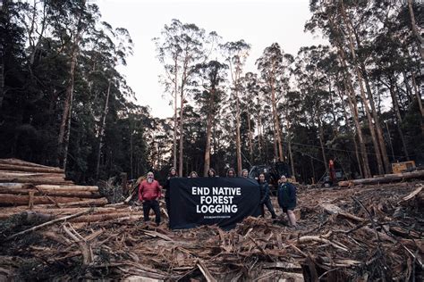 Forestry Tasmania settles Meunna prohibition notices case – Bob Brown