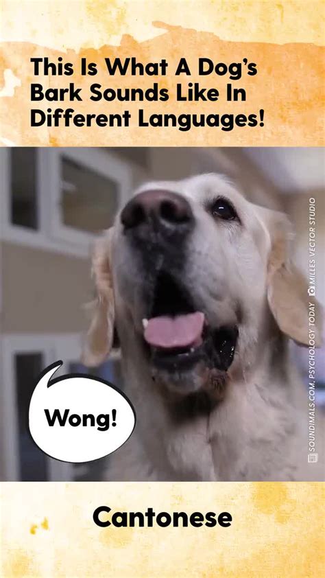 What Sound Does A Dog Make In Different Languages