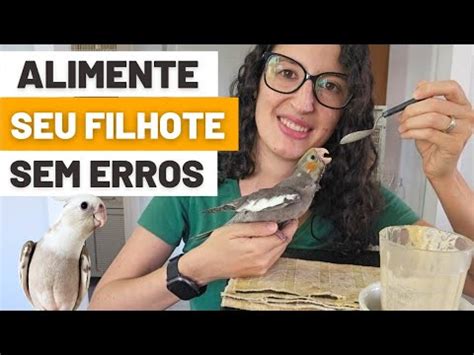 Como Alimentar Filhotes De Calopsitas E Outras Aves Na Papinha Udp