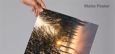 matte posters custom art pixter studio canada