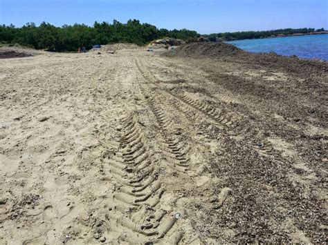 Ex Lido Poste Invaso Dalla Posidonia